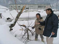 sa060127_01_thumb.png