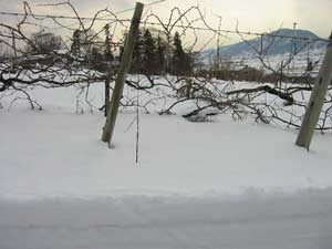 sa060130_03.jpg